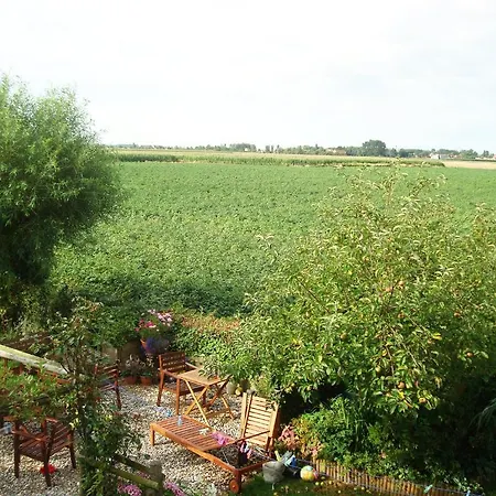 Elly Oda ve Kahvaltı